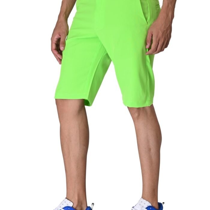 Men's Premium Golf Shorts (Flexi Waist) (in, Numeric, 30, Regular, Light Green)